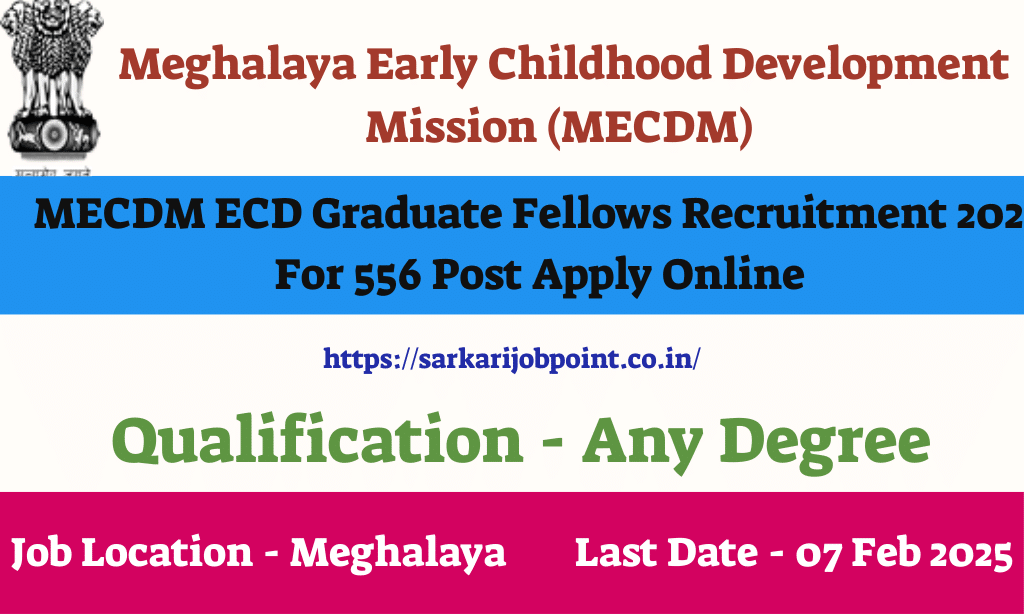 MECDM ECD Graduate Fellows Recruitment 2025